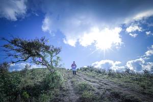 BIB: 5185
                            <button type="button" onclick="openModal(15955478)" class="btn btn-primary btn-sm float-right btn-popup" data-toggle="modal" data-target=".modal-high-quality">
                        <i class="fas fa-shopping-cart"></i> Add to Cart
                    </button>
                                            <button type="button" onclick="isThisMe(15955478, true)" class="btn btn-success btn-sm float-right btn-popup btn-isme hidden" data-toggle="tooltip" data-placement="bottom" title="นี่คือรูปของคุณใช่ไหม คลิกที่นี่เพื่อเอาเข้าอัลบั้ม">
                        <i class="fas fa-plus"></i> Add to album
                    </button>
                    <button type="button" onclick="isThisMe(15955478, false)" class="btn btn-warning btn-sm float-right btn-popup btn-isnotme hidden">
                        <i class="fas fa-ban"></i> Remove from album
                    </button>